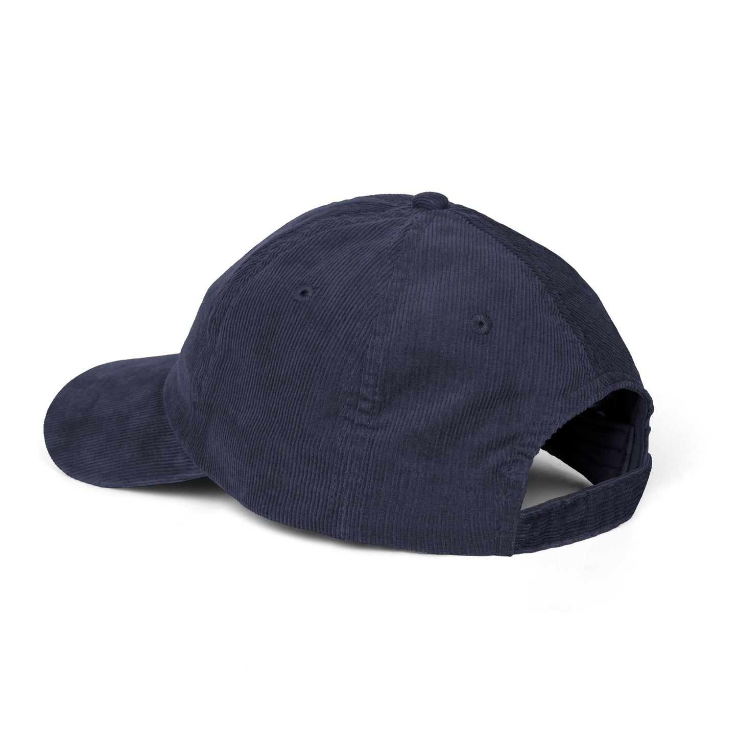 Make America Gavin Again, Embroidered Corduroy Cap, Vintage Baseball Hat, Parody Campaign, Stripes and Stars, Newsom Political Headwear